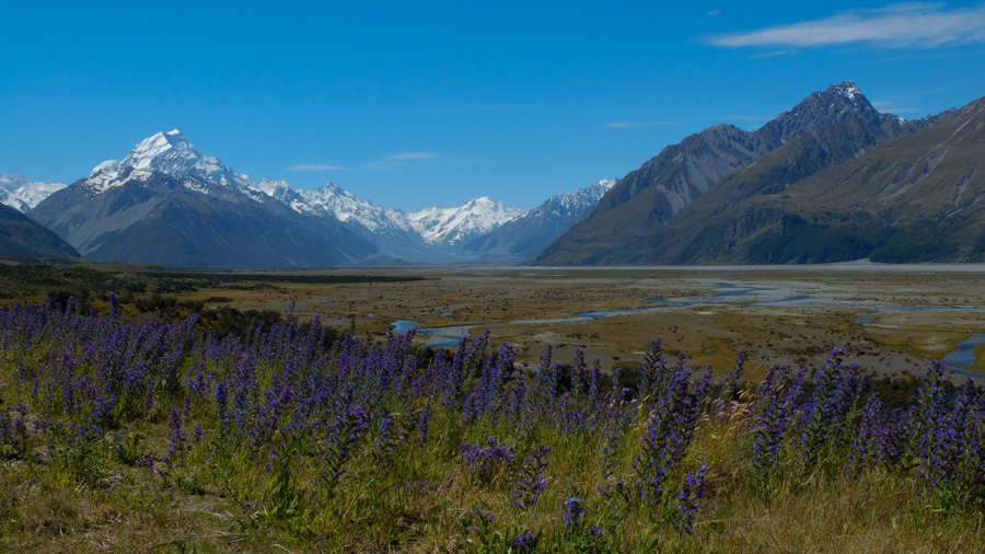 New Zealand